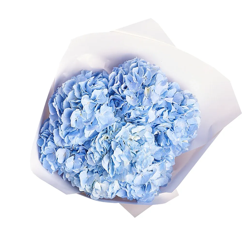 Букет из 7 голубых гортензий